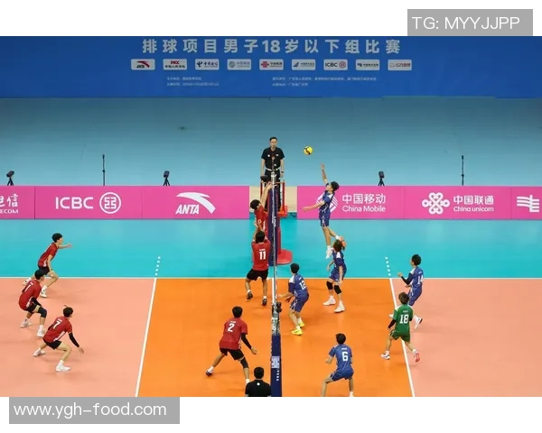 广州排球队个人能力深度剖析与发展潜力探讨